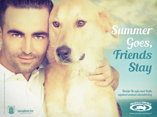 Darijo Brzoja - Summer Goes, Friends Stay  billboard [ 673.20 Kb ]